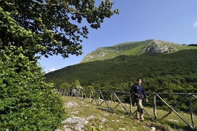 Appartamento Il Grillo Fossato di Vico Værelse billede